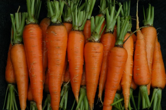 Carrots